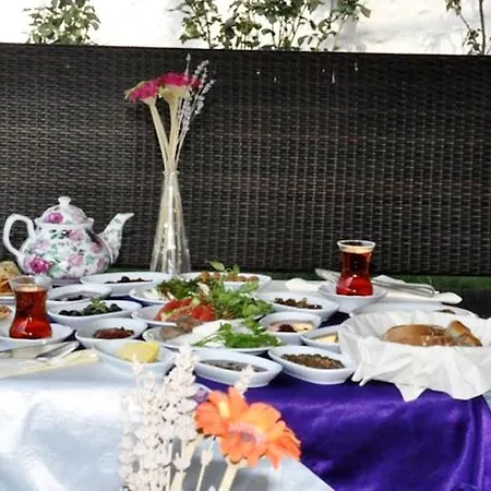 Mor Salkim Konagi 2*