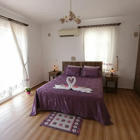 Mor Salkim Konagi بيت ضيافة