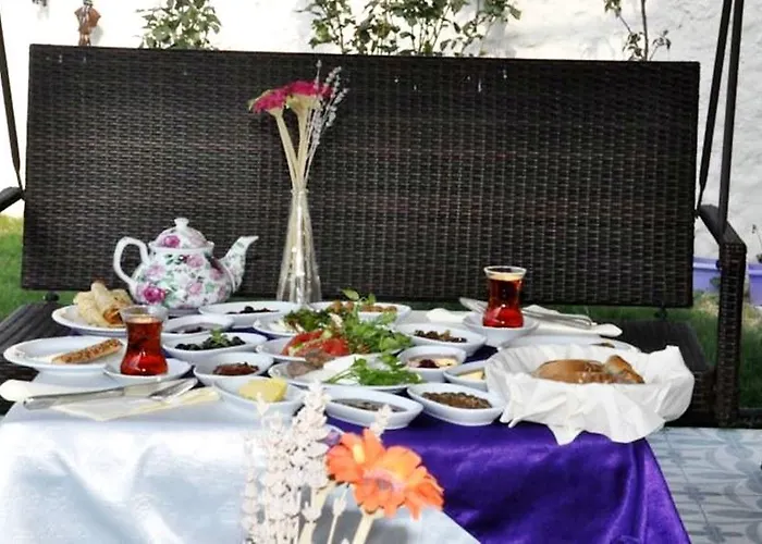 Mor Salkim Konagi 2*