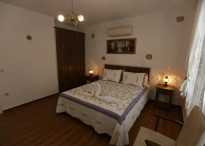 Mor Salkim Konagi 2*